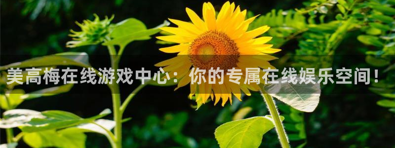 星耀国际是什么：美高梅在线游戏中心：你的专属在线娱乐空间！