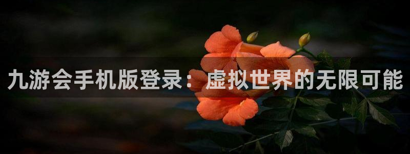 星耀国际体育官网：九游会手机版登录：虚拟世界的无限可能