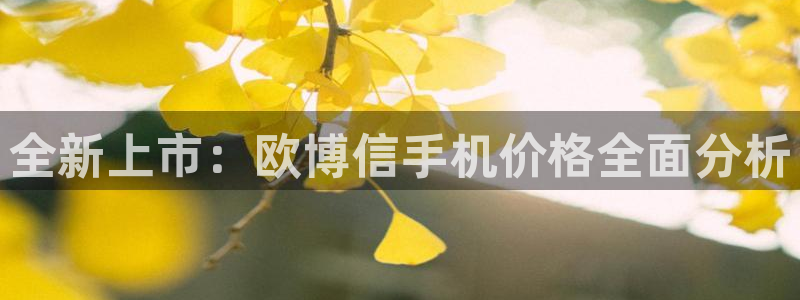 星耀国际平台登录：全新上市：欧博信手机价格全面分析