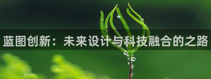 星耀国际赏金女王：蓝图创新：未来设计与科技融合的之路