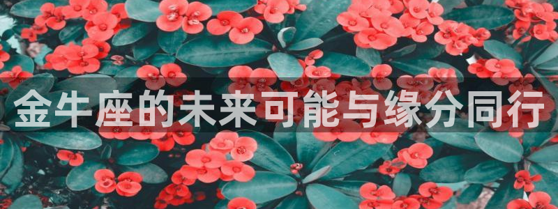 星耀国际手机版下载：金牛座的未来可能与缘分同行
