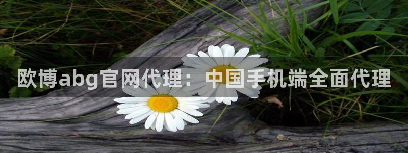 星耀国际官网版：欧博abg官网代理：中国手机端全面代理