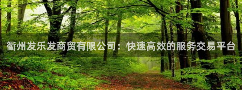 星耀国际电子有限公司：衢州发乐发商贸有限公司：快速高效的服务交易平台