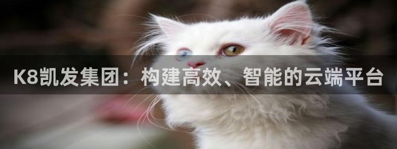 星耀国际平台开户链接：K8凯发集团：构建高效、智能的云端平台