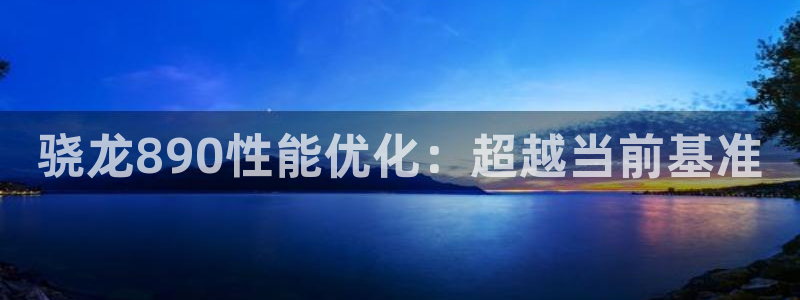 东莞市星耀国际电子科技有限公司：骁龙890性能优化：超越当前基准