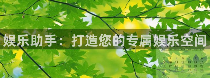 星耀国际app 是什么：娱乐助手：打造您的专属娱乐空间