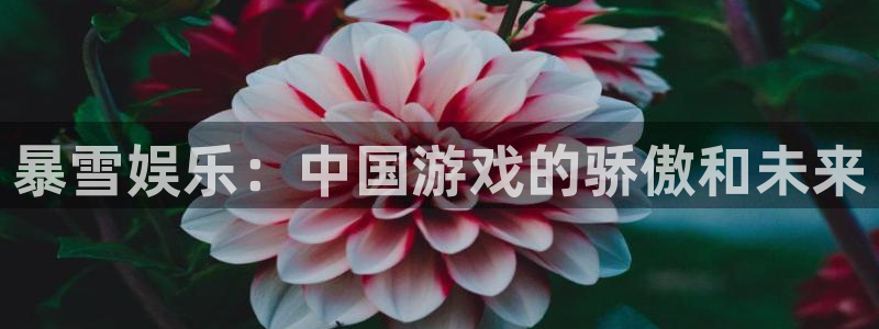 星耀国际体育平台开号链接：暴雪娱乐：中国游戏的骄傲和未来