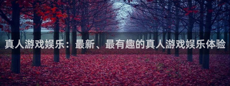 星耀国际平台主管：真人游戏娱乐：最新、最有趣的真人游戏娱乐体验