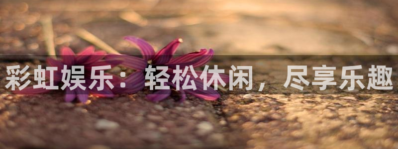 南宫星耀国际官网版：彩虹娱乐：轻松休闲，尽享乐趣