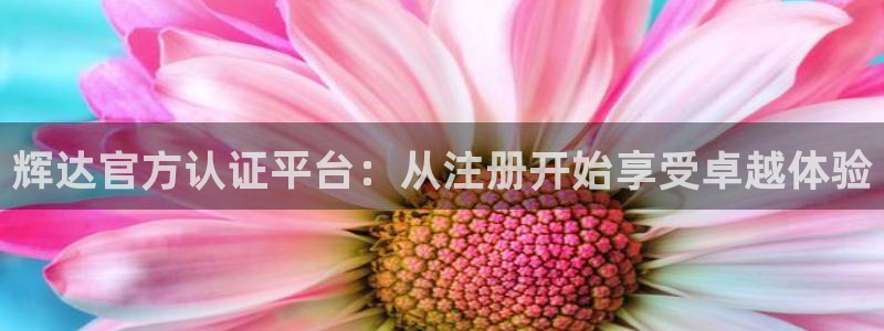 星耀国际app哪个模式容易赢：辉达官方认证平台：从注册开始享受卓越体验