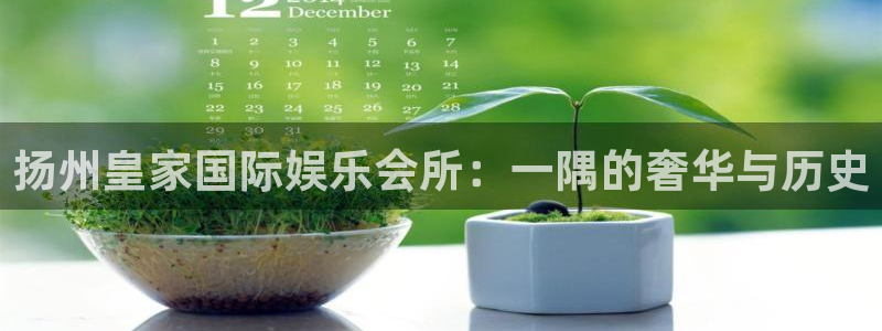 星耀国际代理：扬州皇家国际娱乐会所：一隅的奢华与历史
