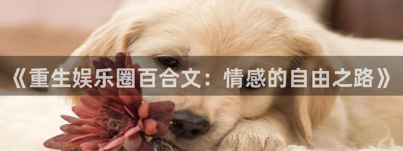 星耀国际注册登录入口：《重生娱乐圈百合文：情感的自由之路》