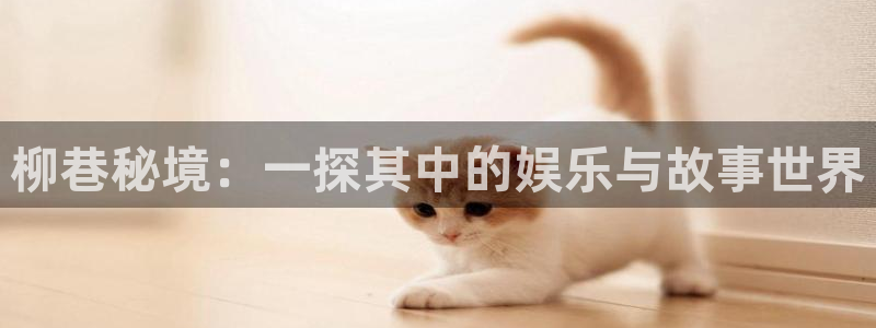 星耀国际4代理：柳巷秘境：一探其中的娱乐与故事世界