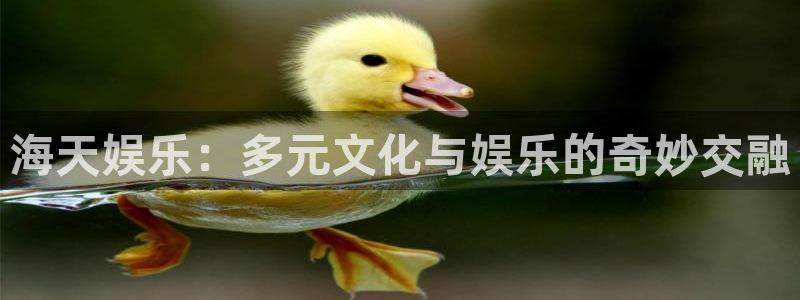 星耀国际能源：海天娱乐：多元文化与娱乐的奇妙交融