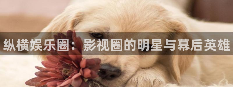 星耀国际平台在线注册：纵横娱乐圈：影视圈的明星与幕后英雄