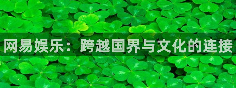 星耀国际下载：网易娱乐：跨越国界与文化的连接