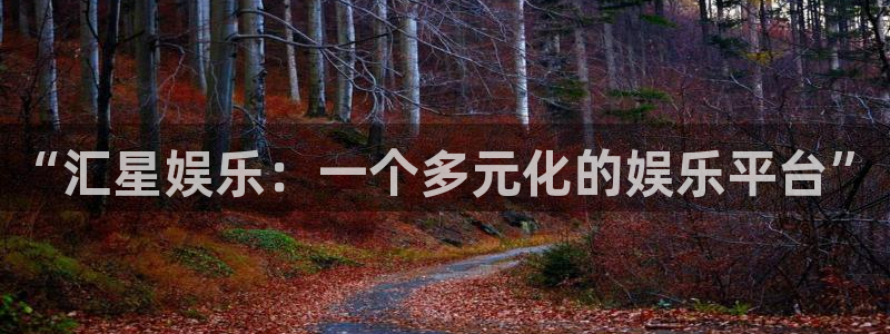 星耀国际4：“汇星娱乐：一个多元化的娱乐平台”
