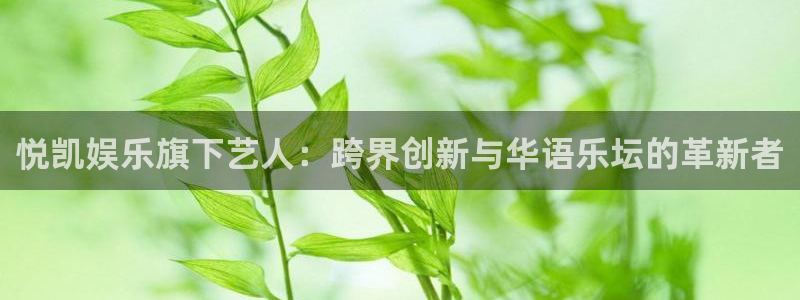 星耀国际vip麻将胡了：悦凯娱乐旗下艺人：跨界创新与华语乐坛的革新者