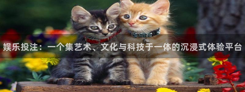 星耀国际2登录：娱乐投注：一个集艺术、文化与科技于一体的沉浸式体验平台