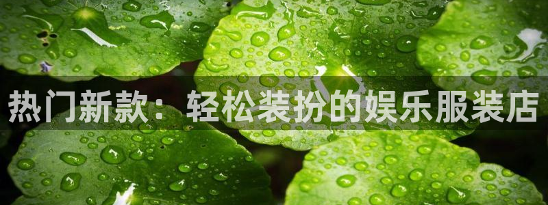 星耀国际注册：热门新款：轻松装扮的娱乐服装店